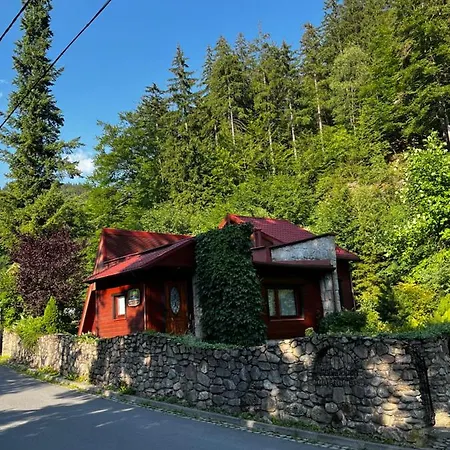 Nad Potokiem Miedzygorze