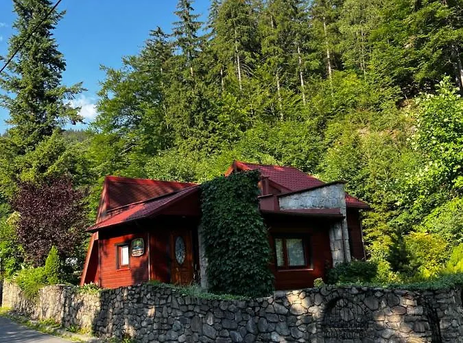 Nad Potokiem Miedzygorze