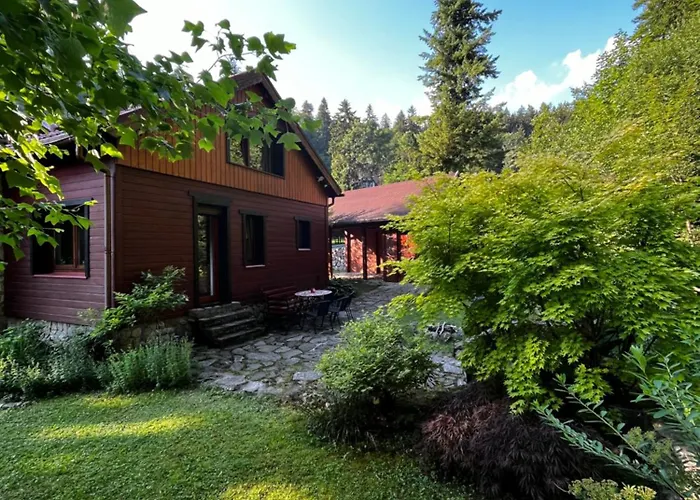 Holiday home Nad Potokiem Miedzygorze