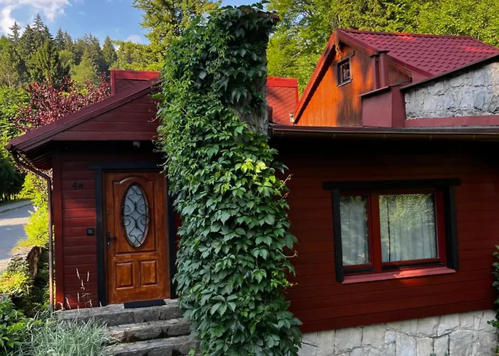 Nad Potokiem Holiday home Miedzygorze